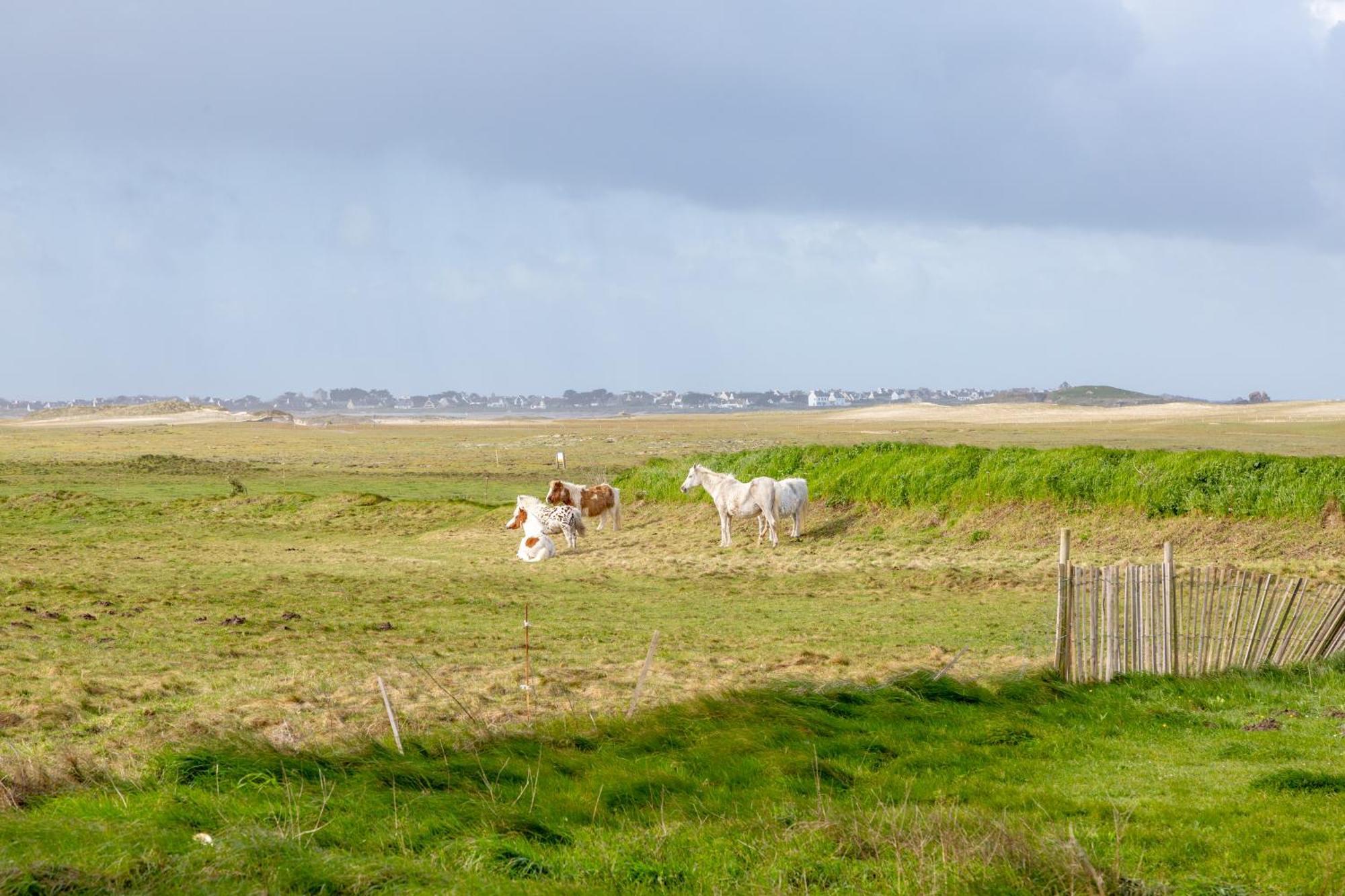 Вилла Ty Mam-Goz - Pointe De La Torche Plomeur Экстерьер фото